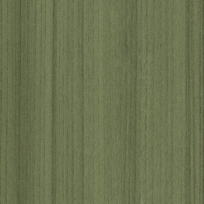 COLOR SCOPE 20 in Cactus