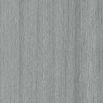 COLOR SCOPE 20 in Silver