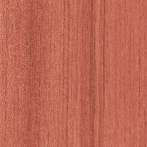 COLOR SCOPE 20 in Coral