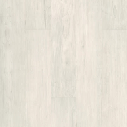 PURVIEW 5.0 in Bone