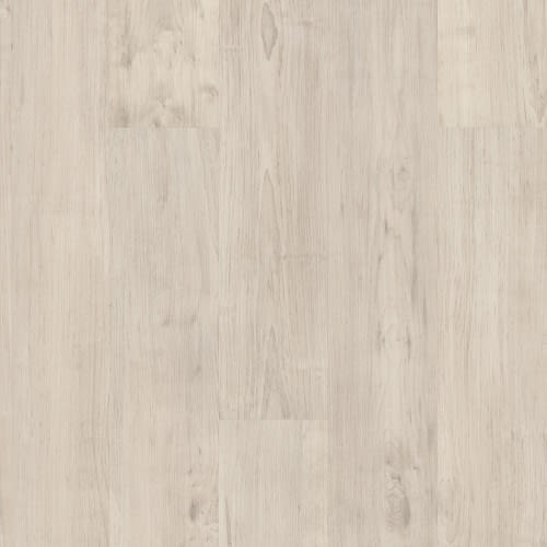 PURVIEW 5.0 in Antler
