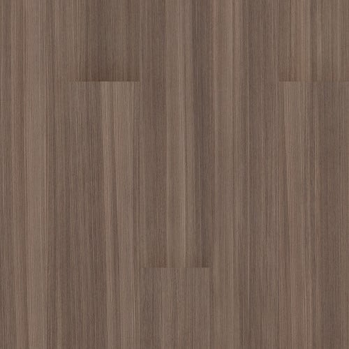 PURVIEW 5.0 in Marron