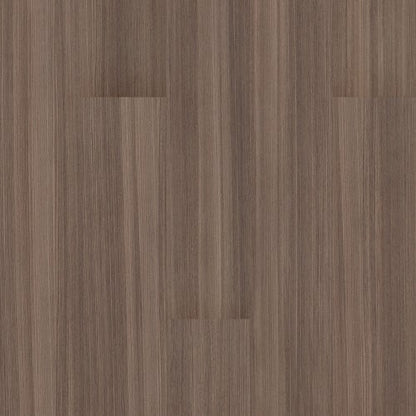 PURVIEW 5.0 in Marron