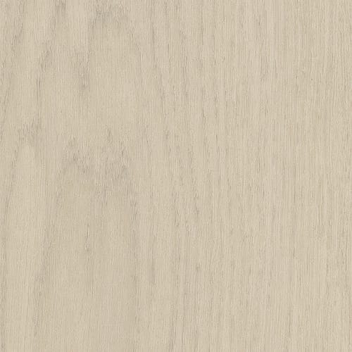 Willow Oak 20M in Natural Oak