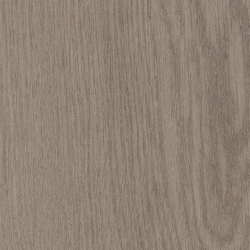 Willow Oak 20M in Dovetail Oak