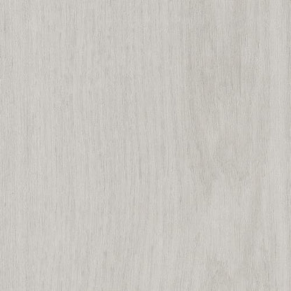 Willow Oak 20M in Rhinestone Oak