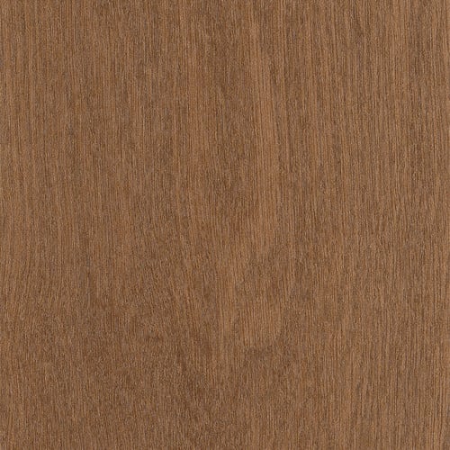 Willow Oak 30 M in Copper Oak