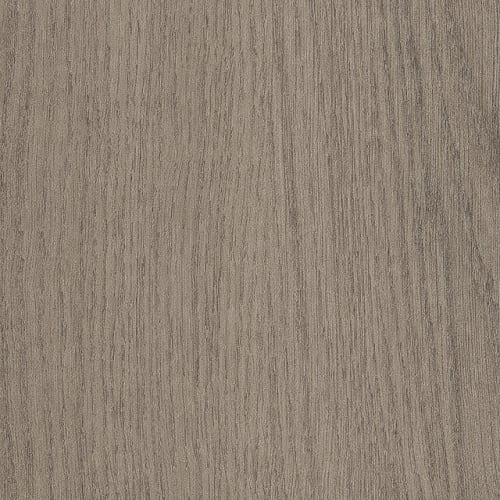 Willow Oak 30 M in Dovetail Oak