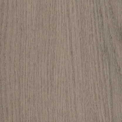Willow Oak 30 M in Dovetail Oak
