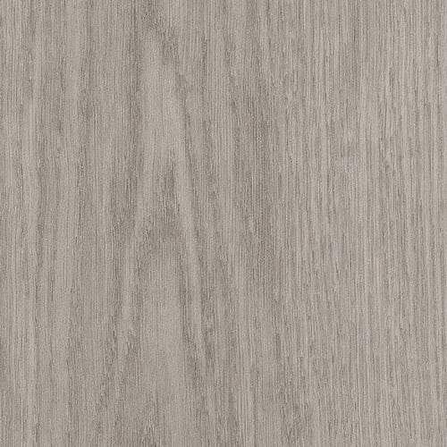Willow Oak 30 M in Silver Oak