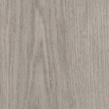 Willow Oak 30 M in Silver Oak