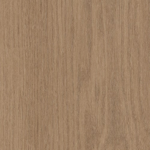 Willow Oak 30 M in Butternut Oak