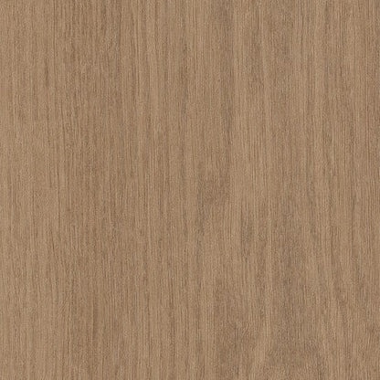 Willow Oak 30 M in Butternut Oak