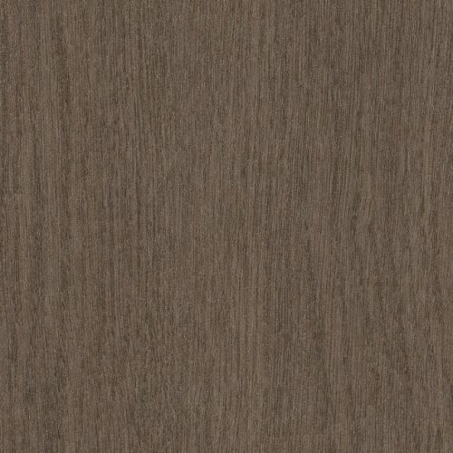 Willow Oak 30 M in Foothills Oak