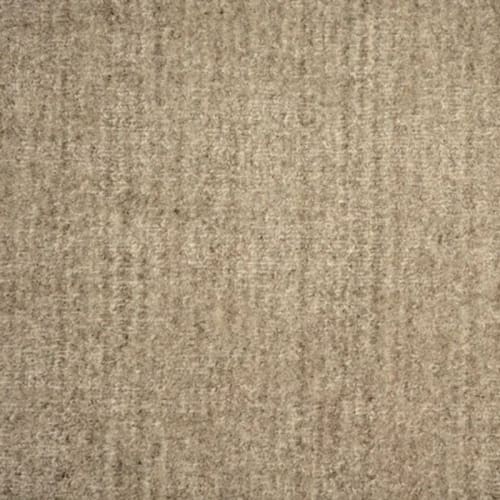 Rave in Nitro Grey Carpet
