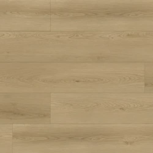 Bear Woods Collection in Alaska Tan