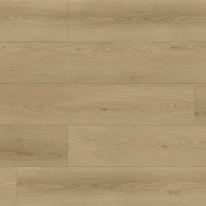 Bear Woods Collection in Alaska Tan