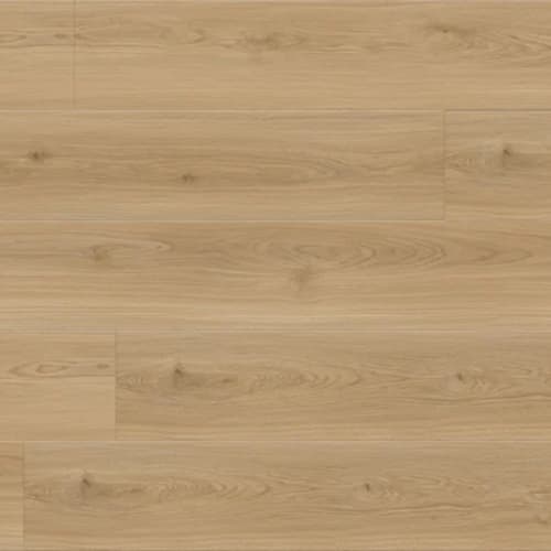 Bear Woods Collection in Bianco Romano