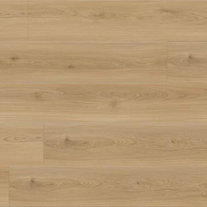 Bear Woods Collection in Bianco Romano