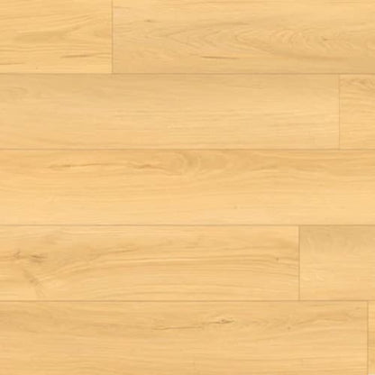 Bear Woods Collection in Astoria Gold