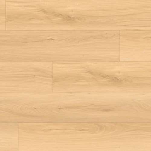 Bear Woods Collection in Kashmir Beige
