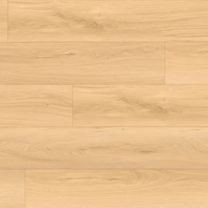 Bear Woods Collection in Kashmir Beige