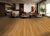 Bear Woods Collection in Crystal Yellow Laminate