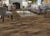 ADURARigid - Dockside in Pier Luxury Vinyl