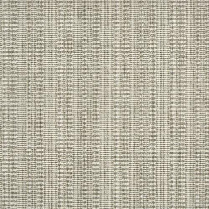 Roatan in Platinum Carpet