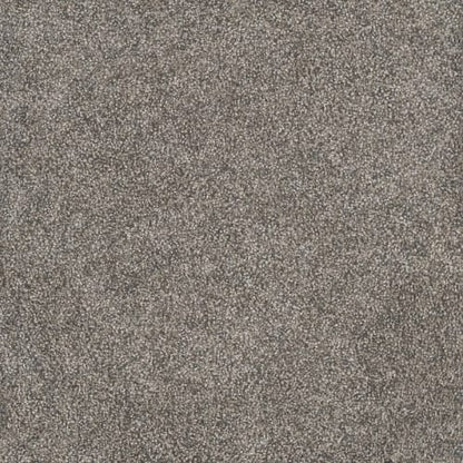 Rustic Retreat II in Dried Sage Carpet