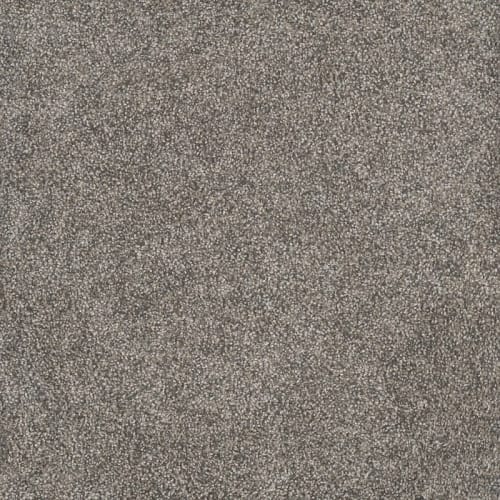 Rustic Retreat II in Dried Sage Carpet