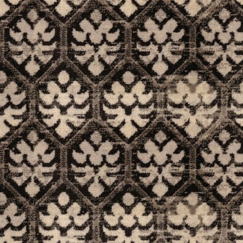 Regal Treasures in Graphite Carpet