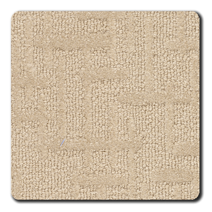 Roxbury in Stone Carpet