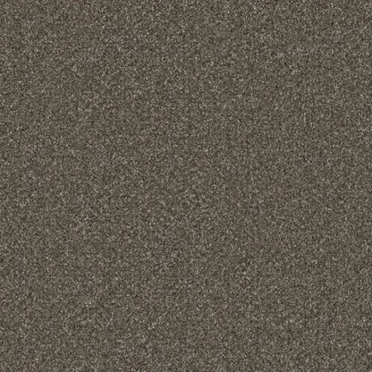 ROYALE II in Rugby Carpet