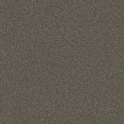 BLAZER II in Rugby Carpet