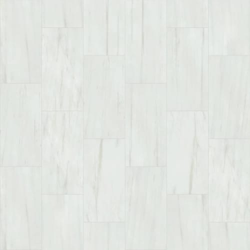 VISION 12X24 POLISH in Bianco