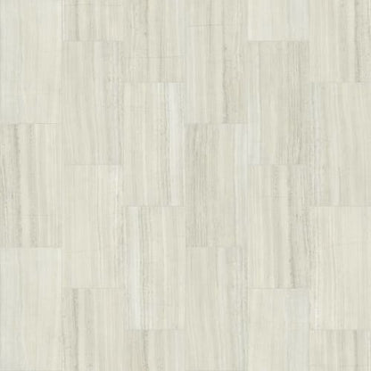 VISION 12X24 POLISH in Ash