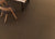 Shades 2.0 in Russet 24"x24" Unpolished Tile