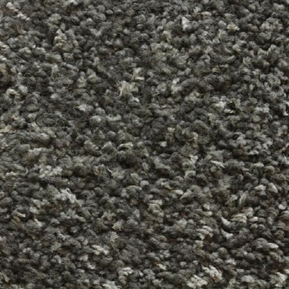Shaggy Plush in Charcoal Carpet