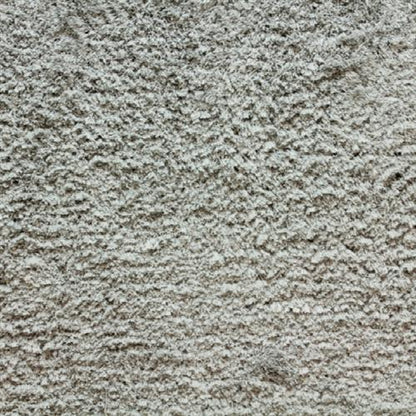 Shaggy Posh in Silver Carpet