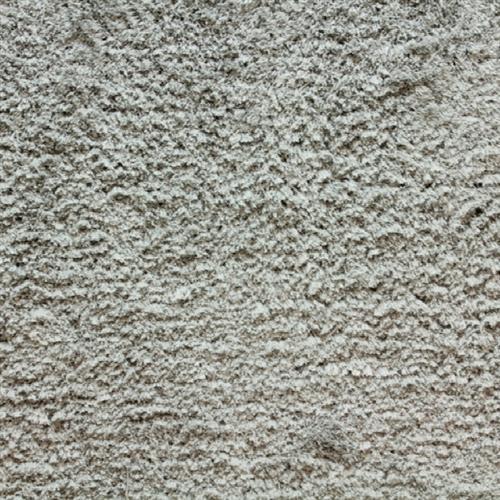 Shaggy Posh in Silver Carpet