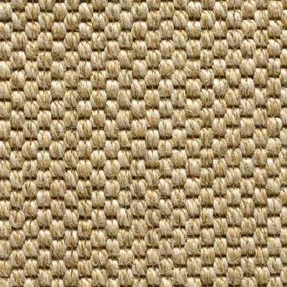 Sahara