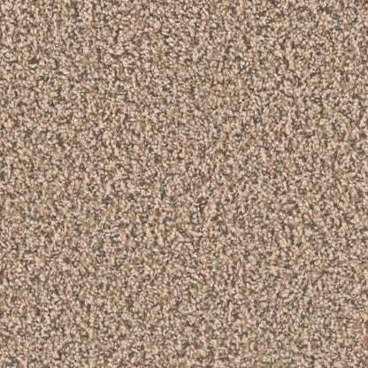SP250