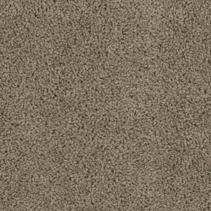 SP250 in honey Beige Carpet