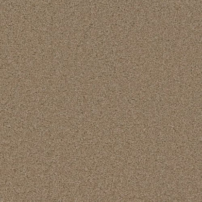 SP250
