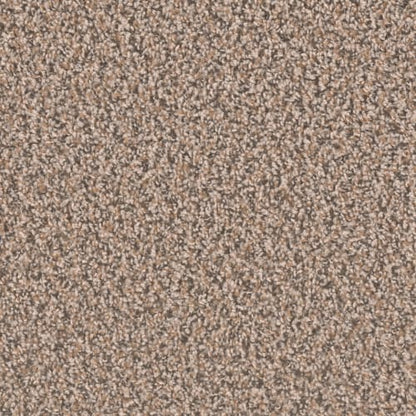 SP250