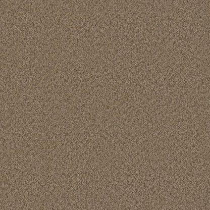 SP250