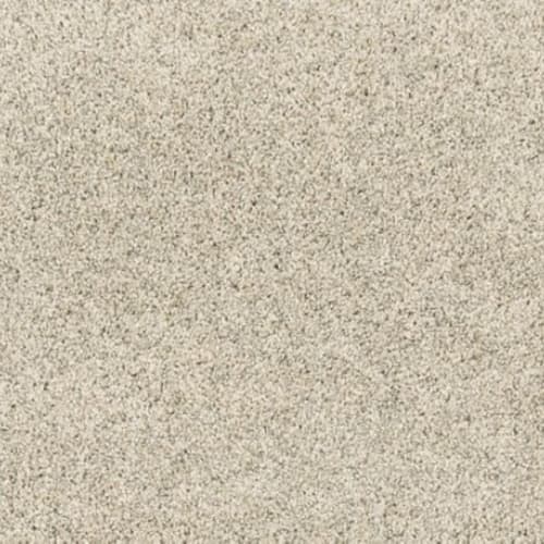 Paw Pathway in Ice Pick Carpet