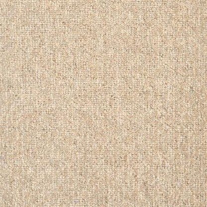 Saratoga in Sandbar Carpet