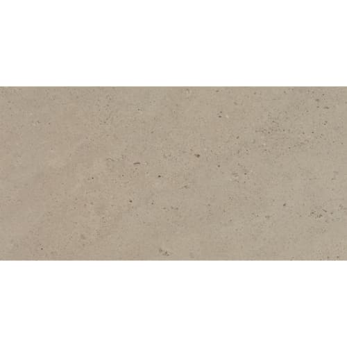 Sand and Stone in Tundra Rectangle Sand Tile